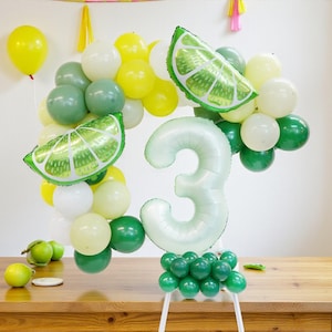 Lemon Lime Balloon Arch Kit: Summer Birthday Party Baby Shower Bachelorette Decorations