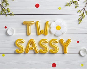 Two Sassy Birthday Banner: Daisy 2nd Birthday Party Decor