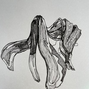 Banana Peel Art Print
