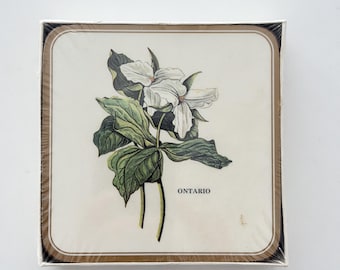 Vintage Pimpernel Magnolia Ontario Acrylic Coasters Set of 6