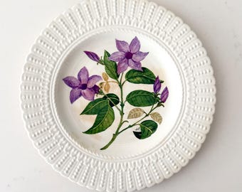 Vintage Royal Cauldon Bristol Ironstone Plate