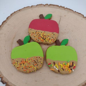 All Natural Dog Cookies, Dog Treat, 3pk Carmel Apples for Dogs, Handmade Dog Treats, Decorated Cookies, Homemade Dog Treats, Fall Dog Treats