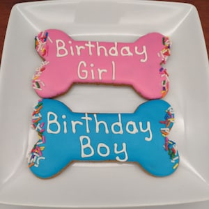 XL Dog Birthday Bone, Dog Treat, Birthday Dog Treat, Decorated Birthday Cookies, Birthday Dog Treats, Dog Bakery, Birthday Gift for Dog