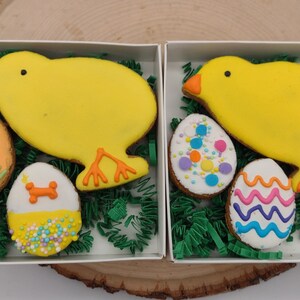 May include: Two white boxes filled with green shredded paper, each containing a yellow chick cookie and three decorated egg cookies. The egg cookies are decorated with sprinkles, dots, and wavy lines in various colors.
