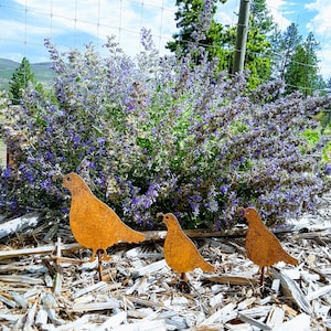 May include: Three rusty metal quail silhouettes are arranged in a row on a bed of wood chips. The quail are facing the right and are set against a background of purple flowers.
