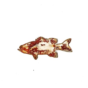 May include: A rusty metal fish sculpture with a white background. The fish is a stylized design with a rounded body and a long tail.