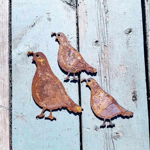 Rusty Quail family; set of 3, metal wall decor, home accent, garden art, craft projects, magnets