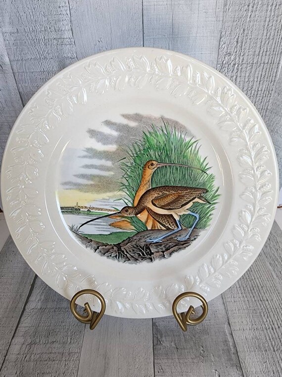 Vintage Birds of America John James Audubon Dinner Plates by