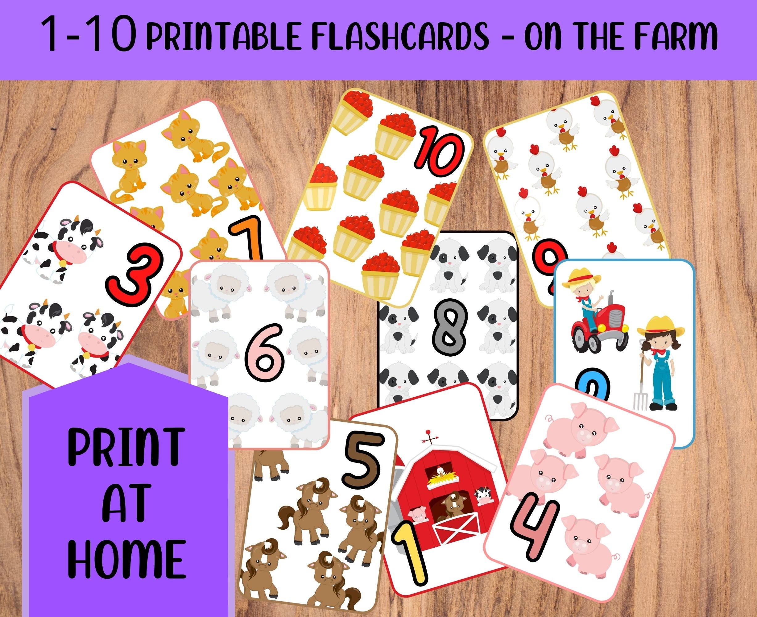 11 Laminated Family themed Flashcards Educational learning activity for school 