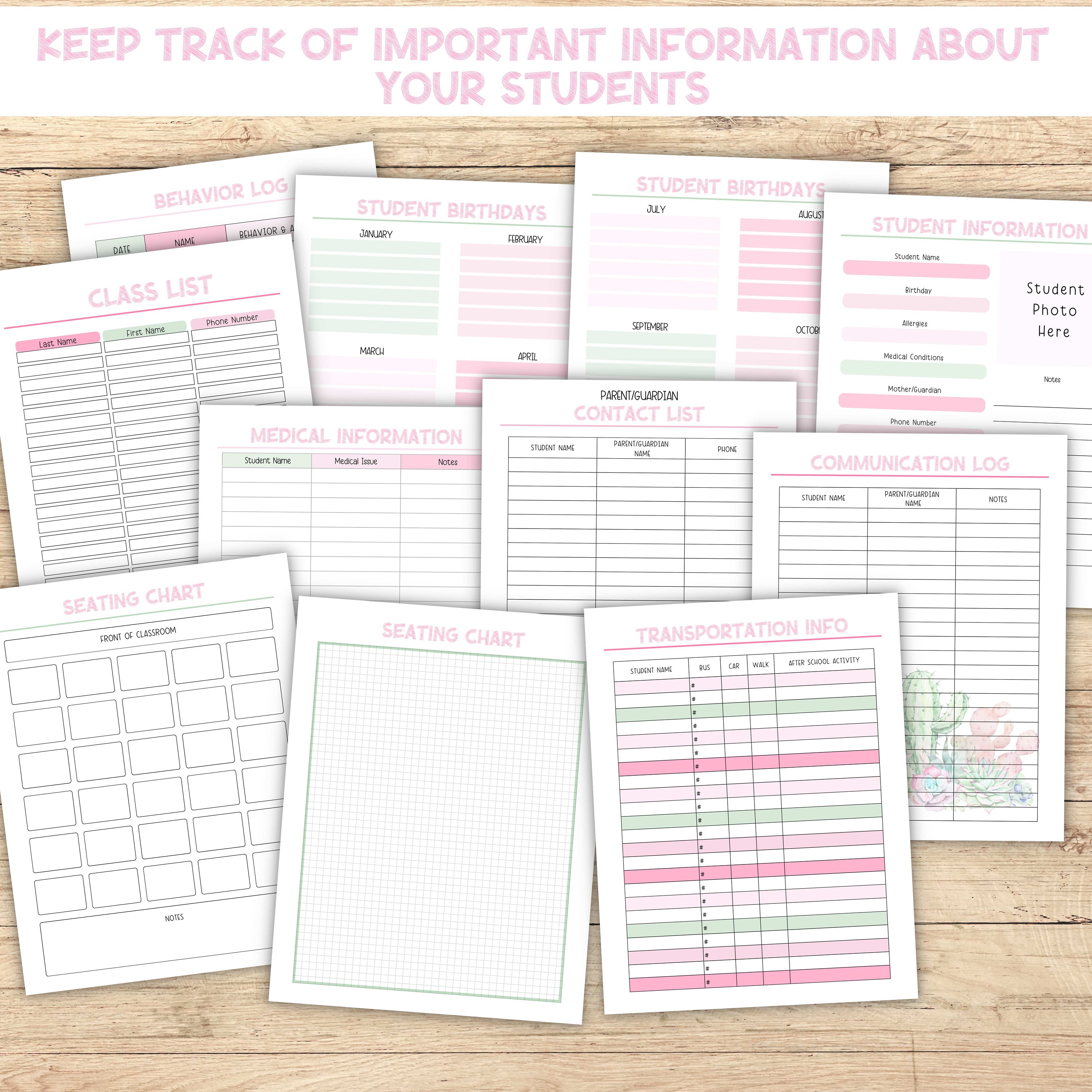 Pink Cactus Teacher Planner Printable - Teaching Binder With Lesson ...
