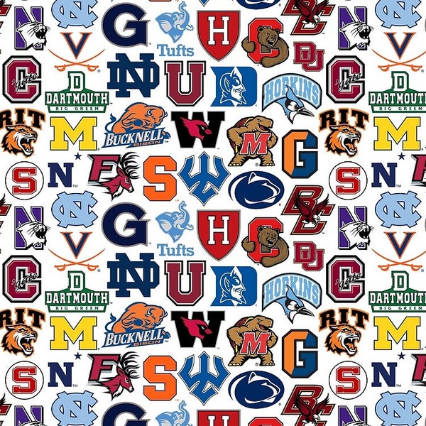 College/University Vinyl Decal