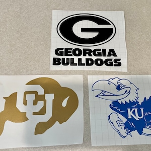 College/University Vinyl Decal