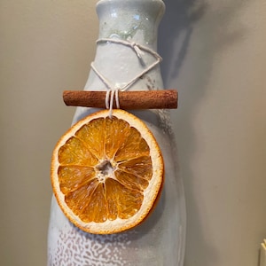 Dried Natural Orange Ornaments