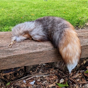 Smokey Red Fox Tail (Large and Regular Size), Real Fox Tail, Tails for therians, Taxidermy Tails