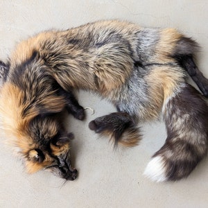 Golden Cross Fox Pelt