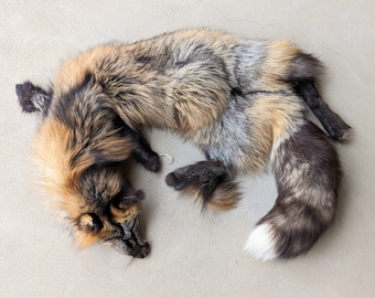 Golden Cross Fox Pelt