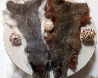 アメリカアナグマの毛皮 - Etsy 日本