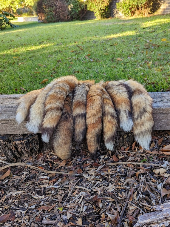B級キツネのしっぽキーホルダー、獣人用のしっぽ、剥製のしっぽ - Etsy