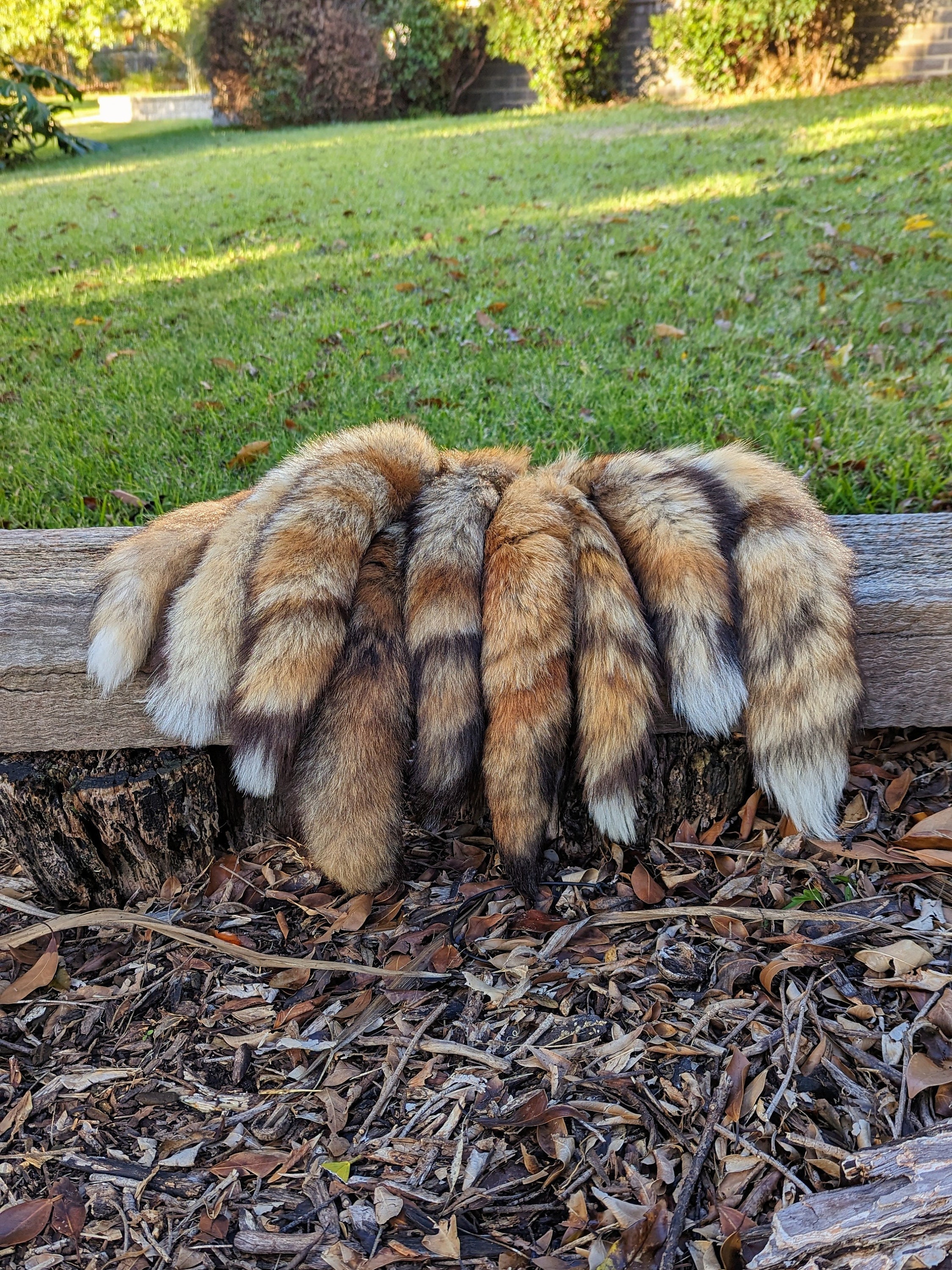 B級キツネのしっぽキーホルダー、獣人用のしっぽ、剥製のしっぽ - Etsy