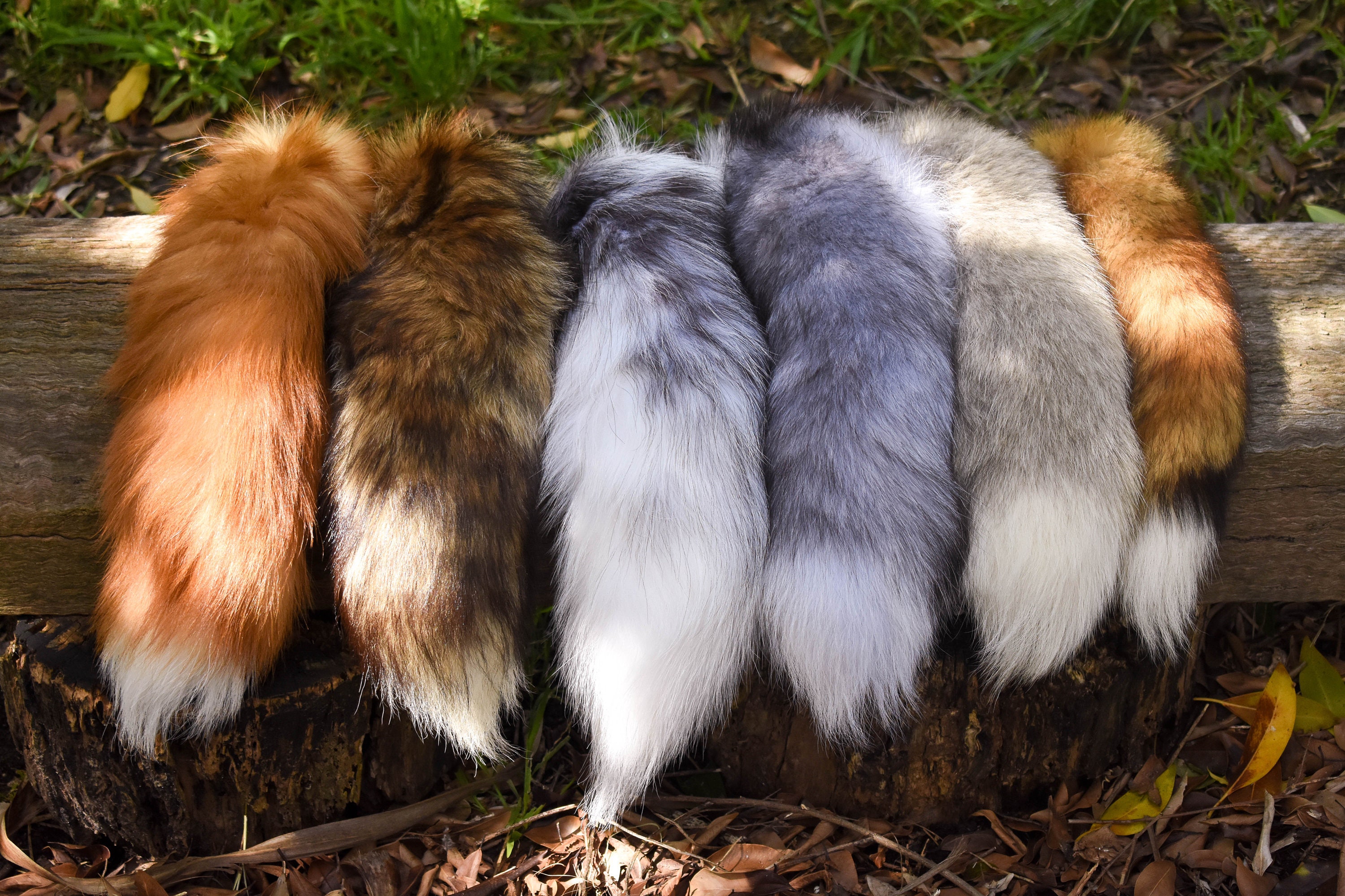 Fur Fox Tail Fashion Accessory Stock Photo - Image of head, animal:  238563062