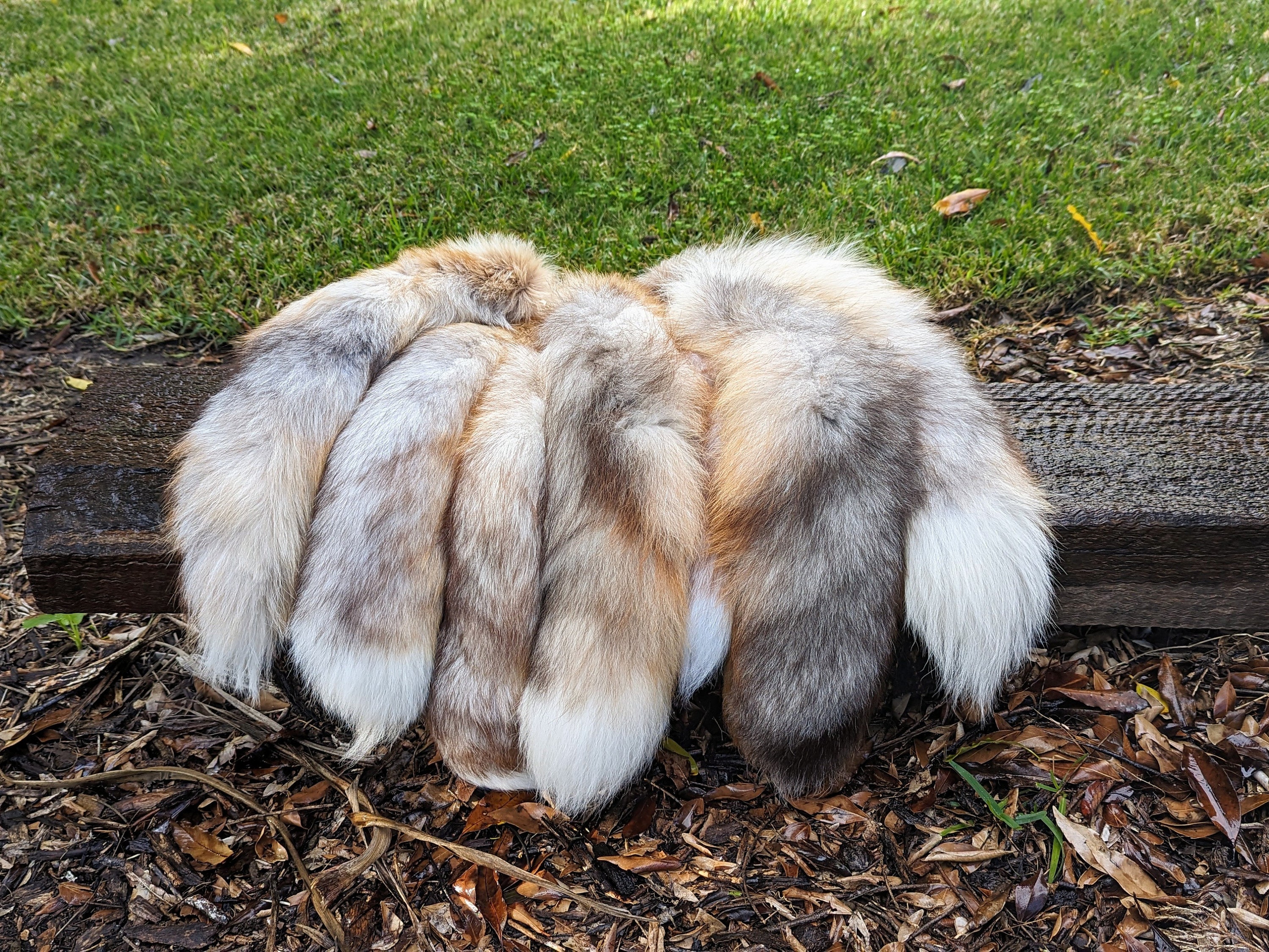 B級キツネのしっぽキーホルダー、獣人用のしっぽ、剥製のしっぽ - Etsy