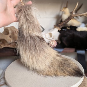 May include: A fluffy, brown and white animal tail keychain. The tail is attached to a gold chain and is displayed on a beige circular stand.