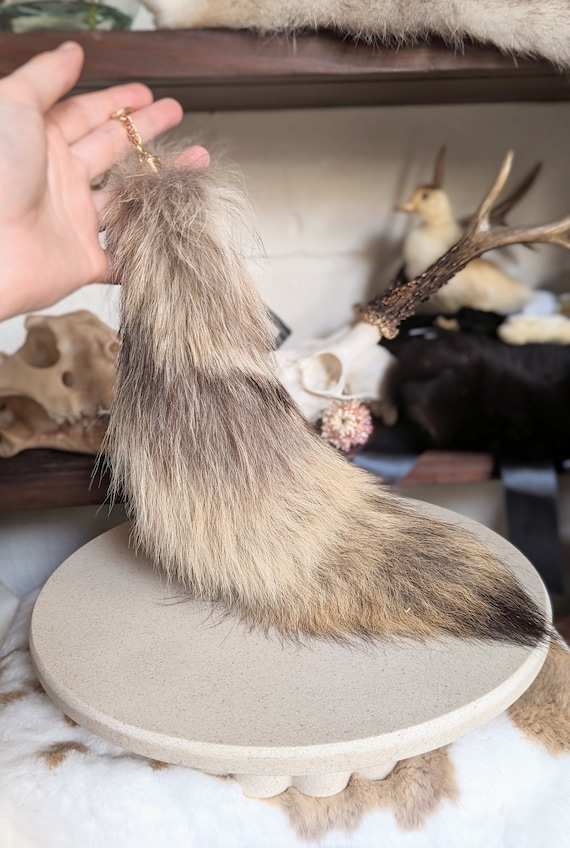 Coyote tail best sale keychain