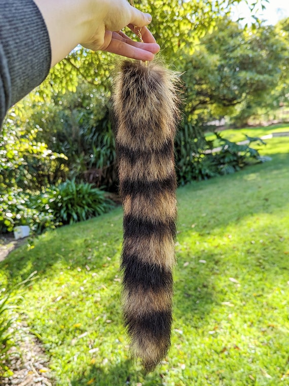 アライグマのしっぽキーホルダー（茶色または金髪） - Etsy 日本