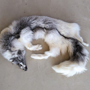 Arctic Marble Fox Pelt