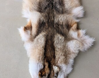 コヨーテの毛皮 - Etsy 日本