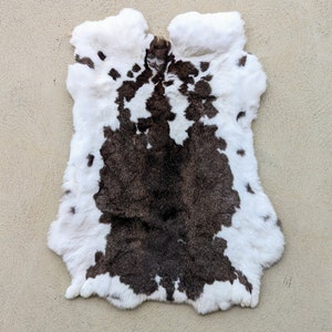 Rex Rabbit Pelt - Etsy