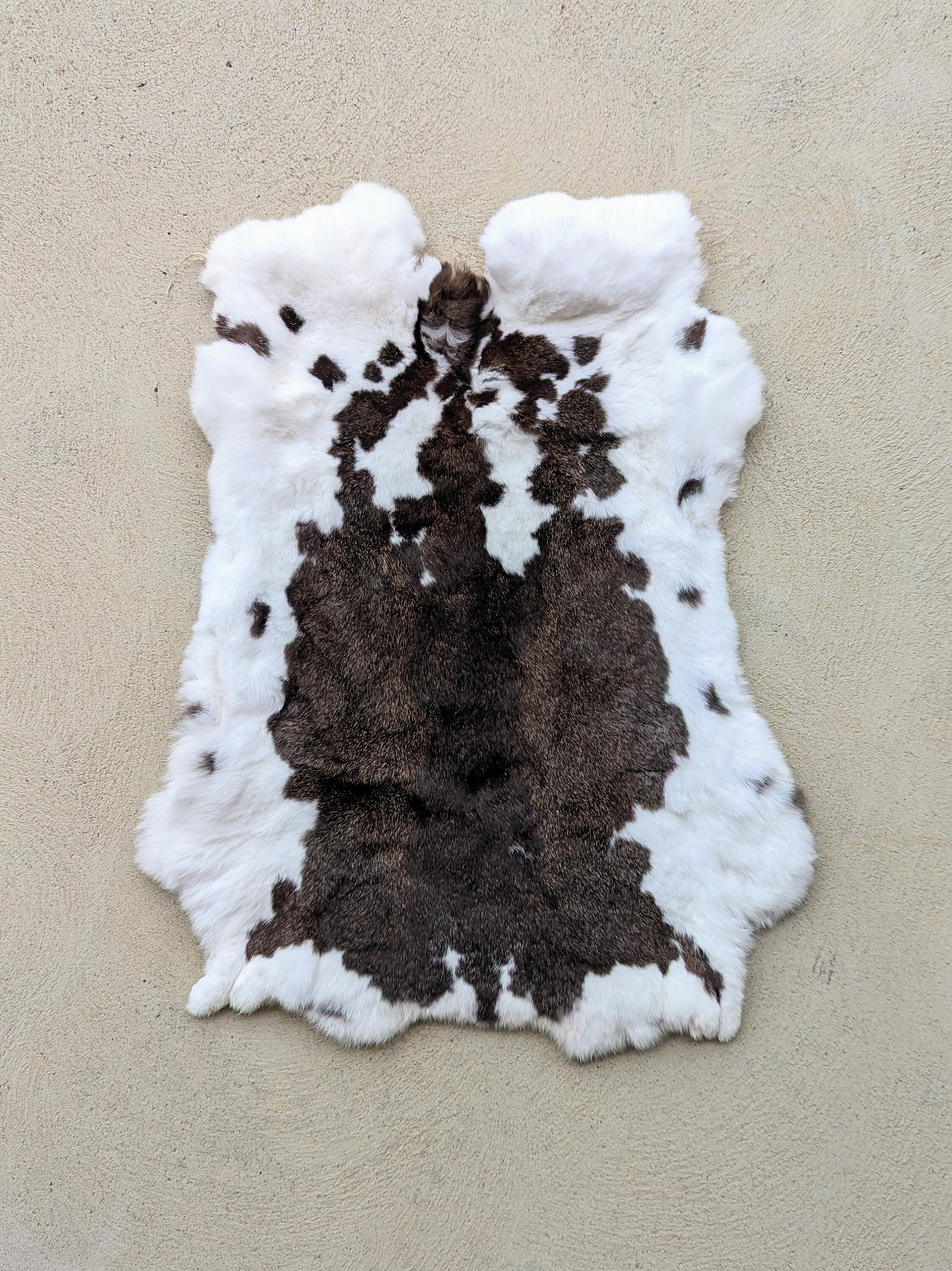 Rex Rabbit Pelt - Etsy