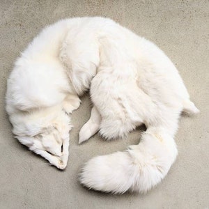 White Arctic Fox Pelt