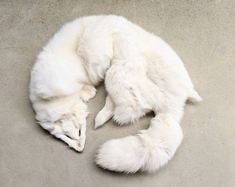 White Arctic Fox Pelt