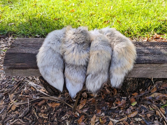 B級キツネのしっぽキーホルダー、獣人用のしっぽ、剥製のしっぽ - Etsy