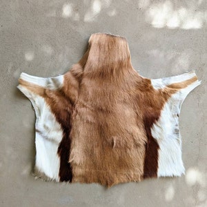 Springbok Half Hide
