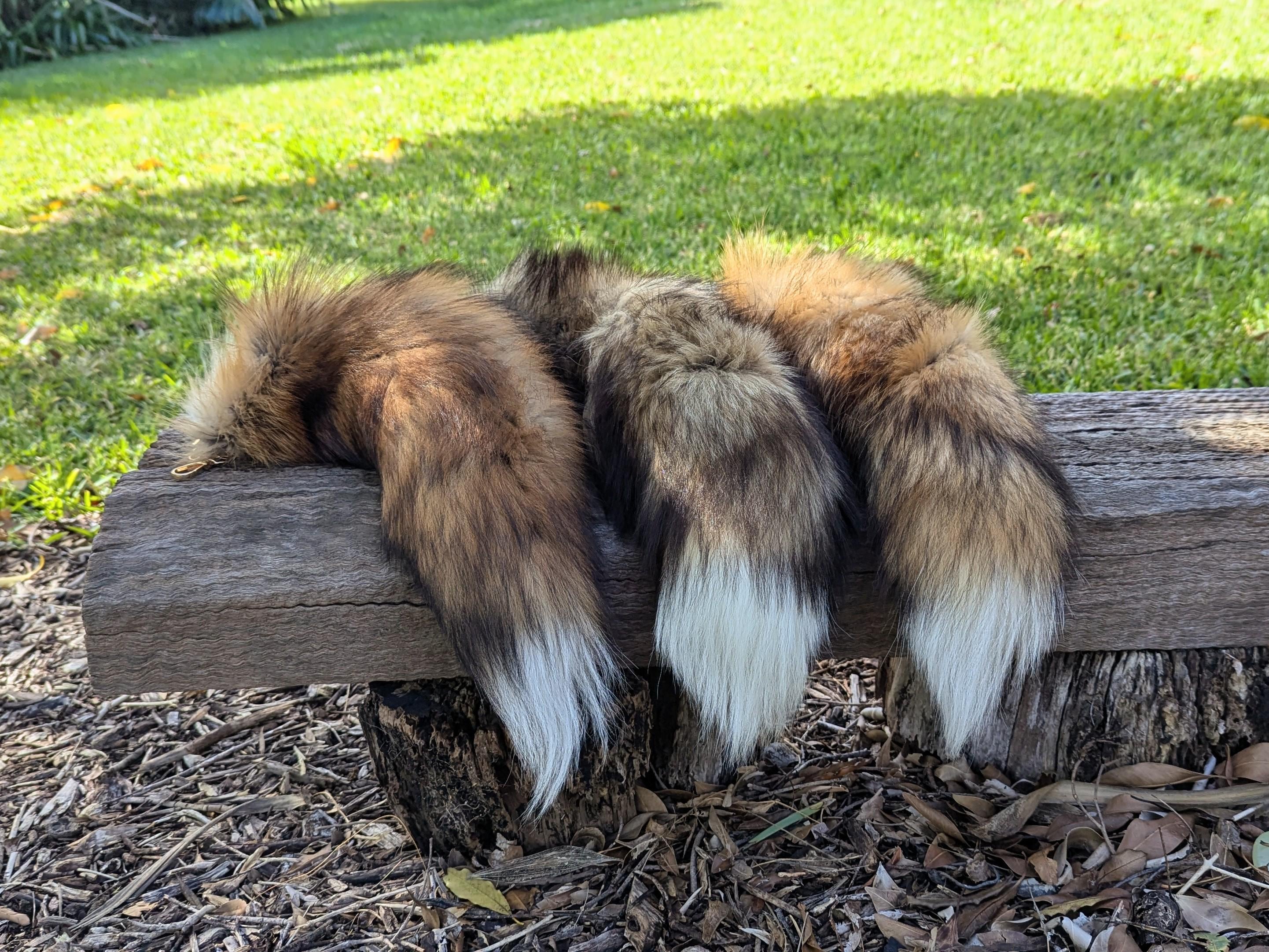 XL Golden Cross Fox Tail Keychains - Therian Gear, Taxidermy