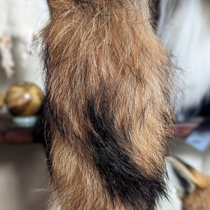Tanuki Tail Keychain