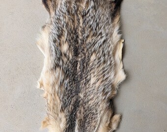 アメリカアナグマの毛皮 - Etsy 日本