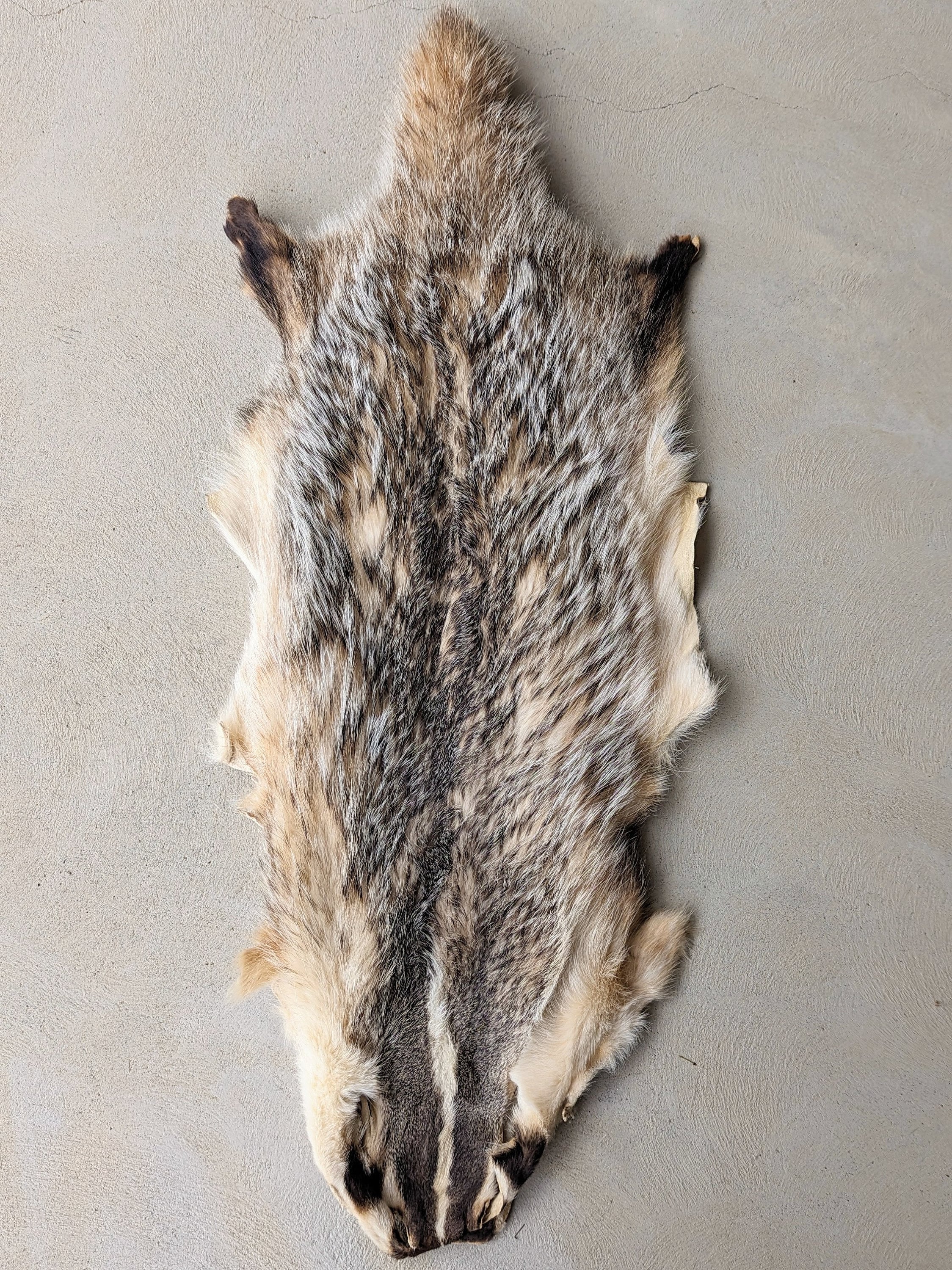アメリカアナグマの毛皮 - Etsy 日本