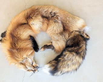 Red Fox Pelt