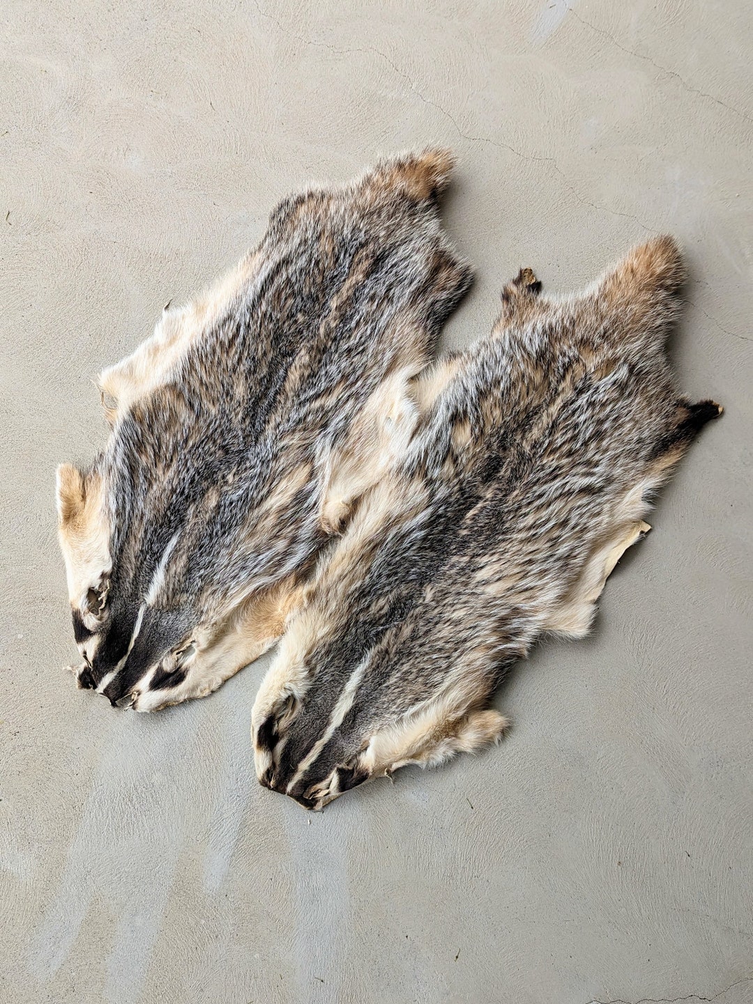 アナグマの鞣し毛皮[ハンドメイド] アナグマの鞣し毛皮[ハンドメイド]