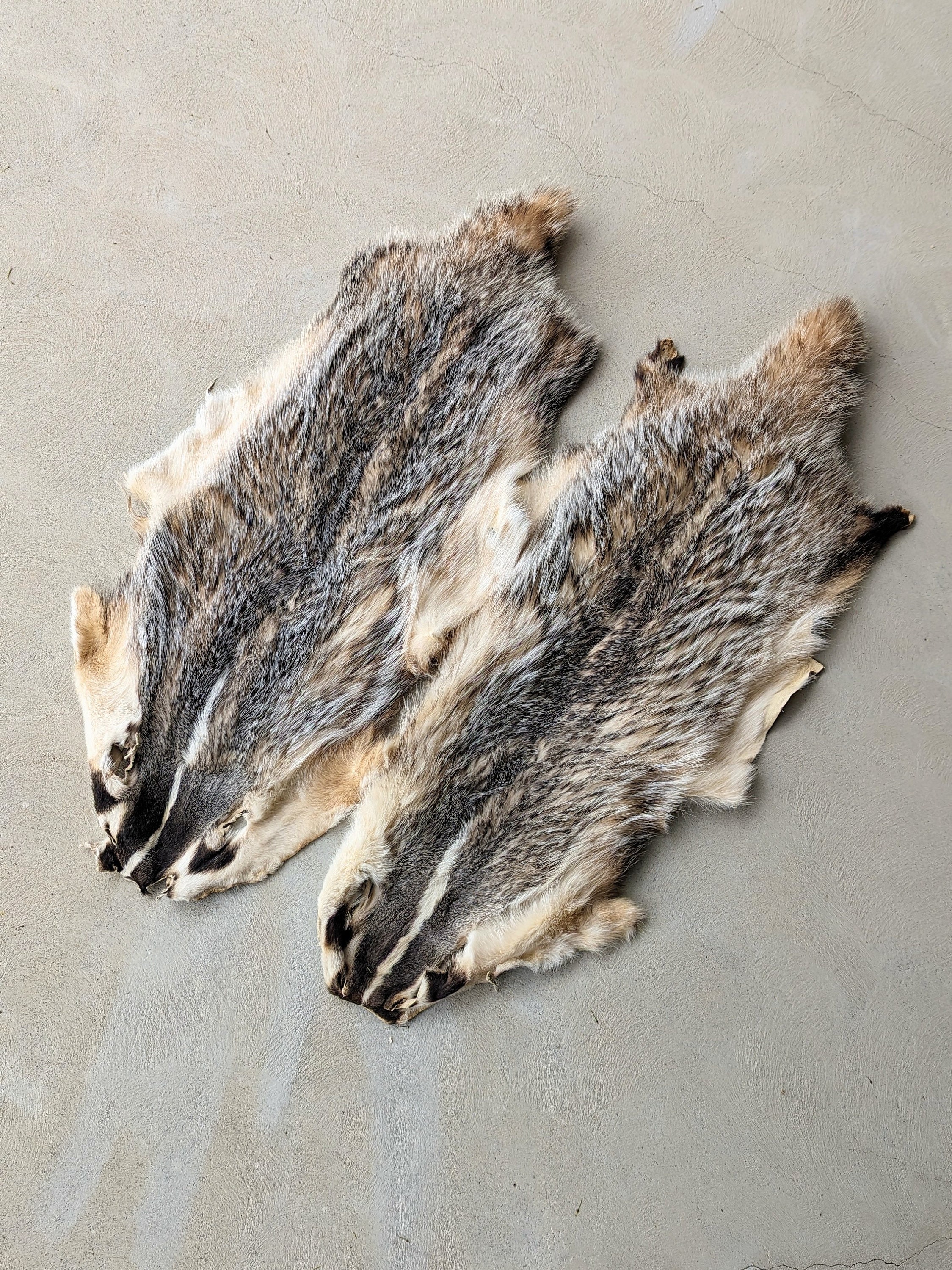 アナグマの鞣し毛皮[ハンドメイド] il_fullxfull.6104326929_gb37.jpg