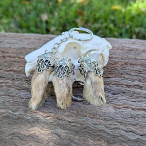 Könnte beinhalten: Drei Schlüsselanhänger mit kleinen, hellbraunen Tierfüßen, jeweils mit einer dekorativen, silberfarbenen Metallkappe. Die Schlüsselanhänger sind an einer silberfarbenen Kette und einem Ring befestigt. Der Hintergrund umfasst einen Schädel und eine Holzoberfläche.