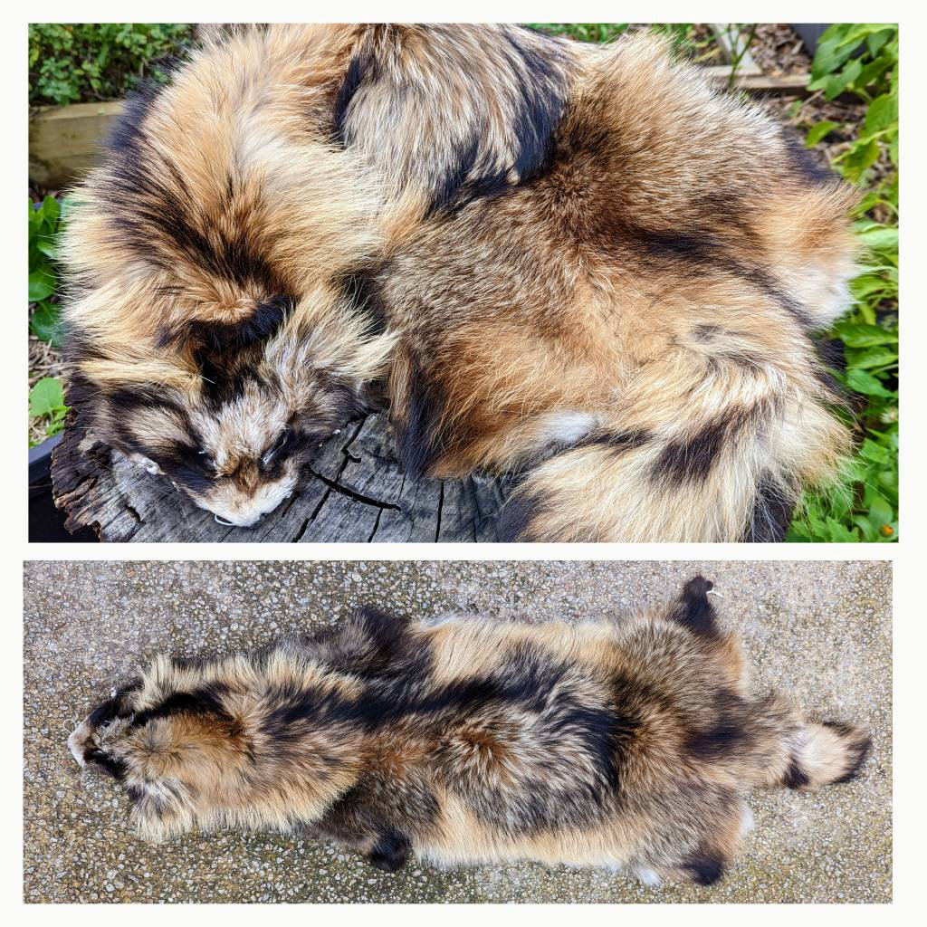 Tanuki Pelt - Etsy