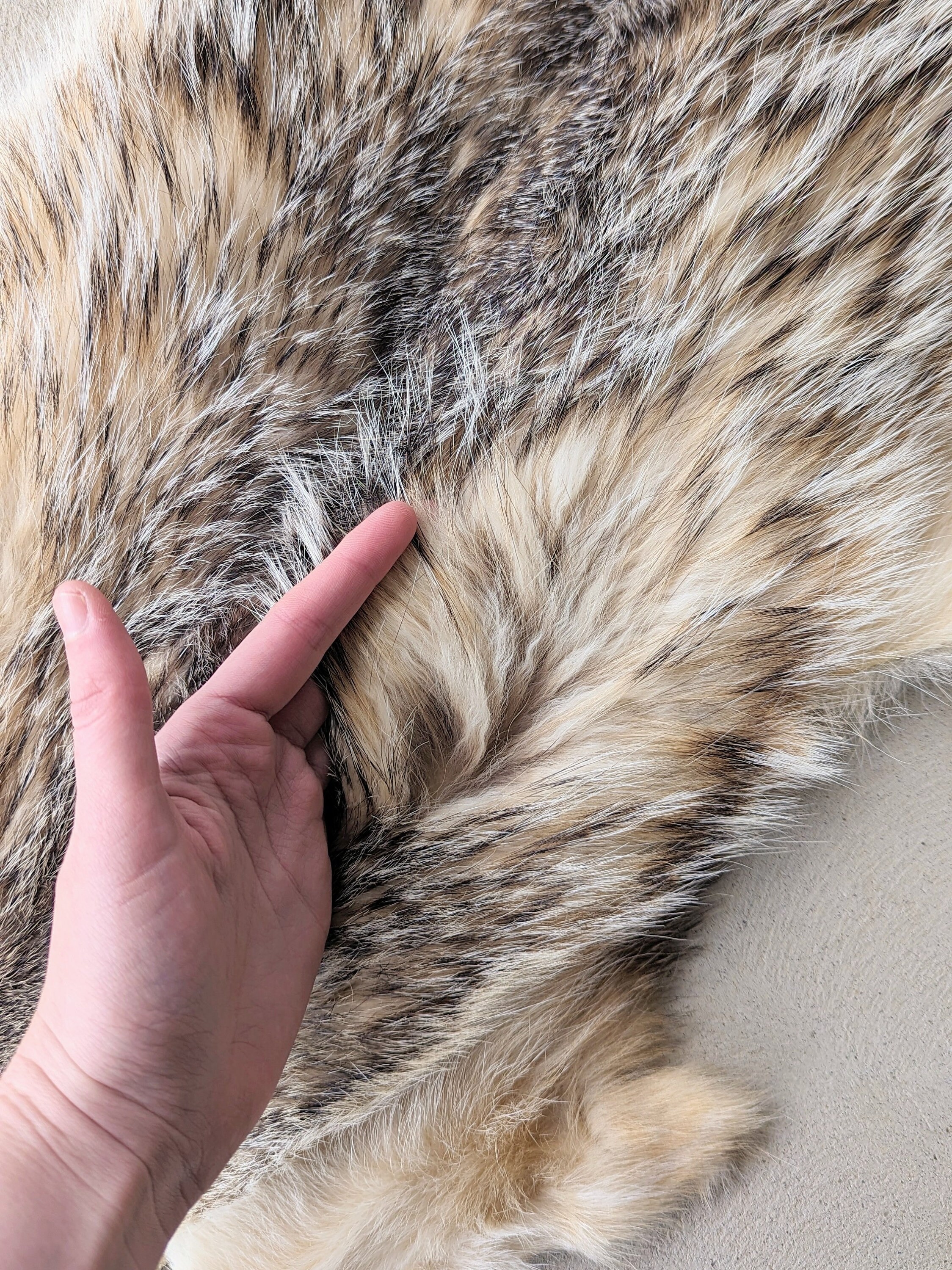 アメリカアナグマの毛皮 - Etsy 日本