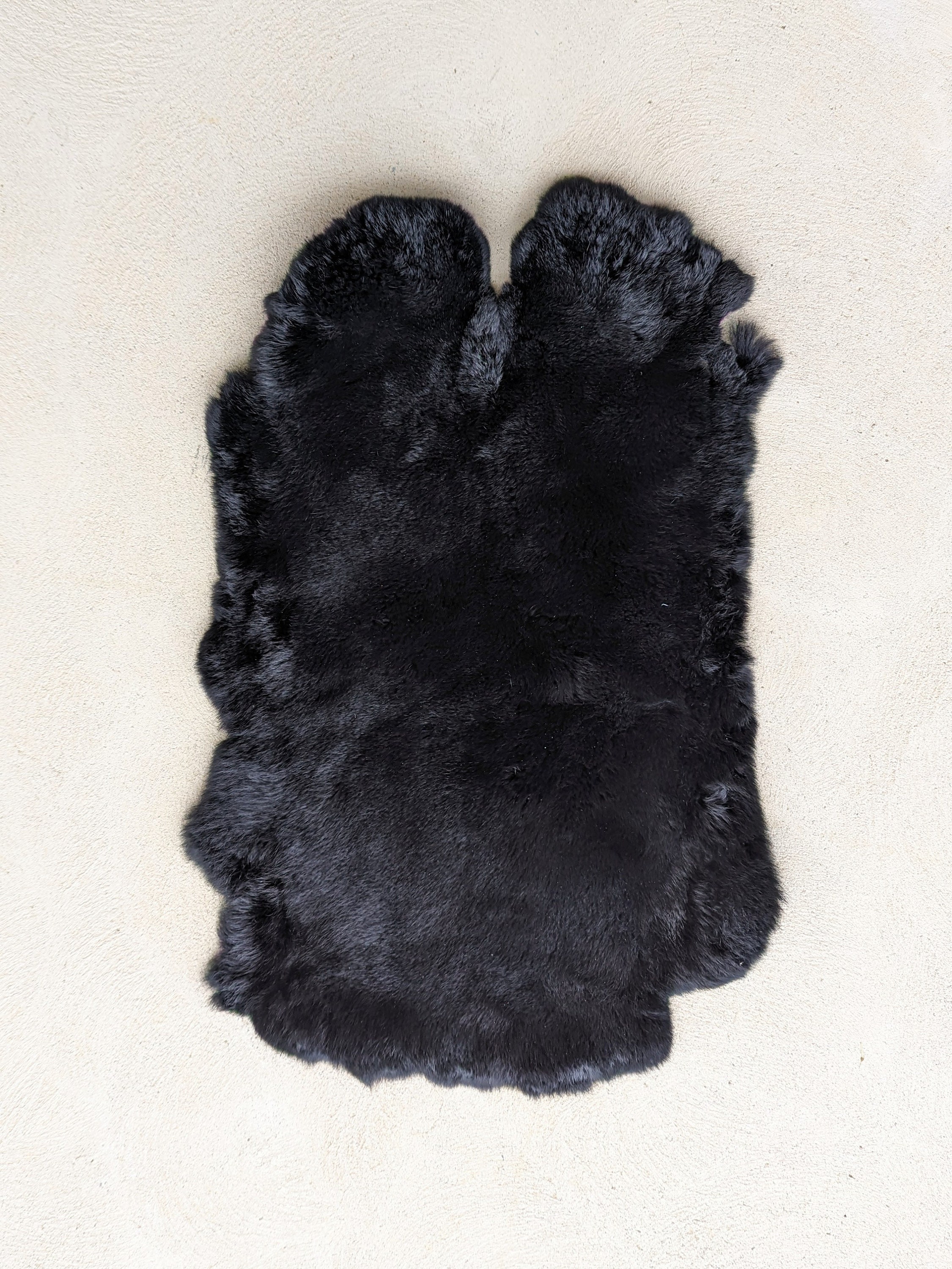 Rex Rabbit Pelt - Etsy