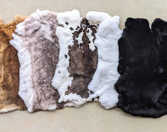 白いホッキョクギツネの毛皮 - Etsy 日本