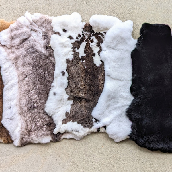 Rex Rabbit Pelt - Etsy