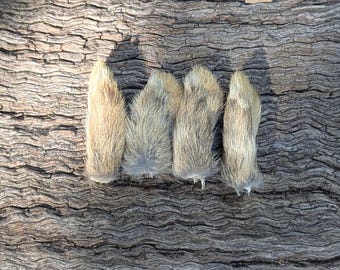 Four Rabbit Paws - Ethically sourced, crafting supplies